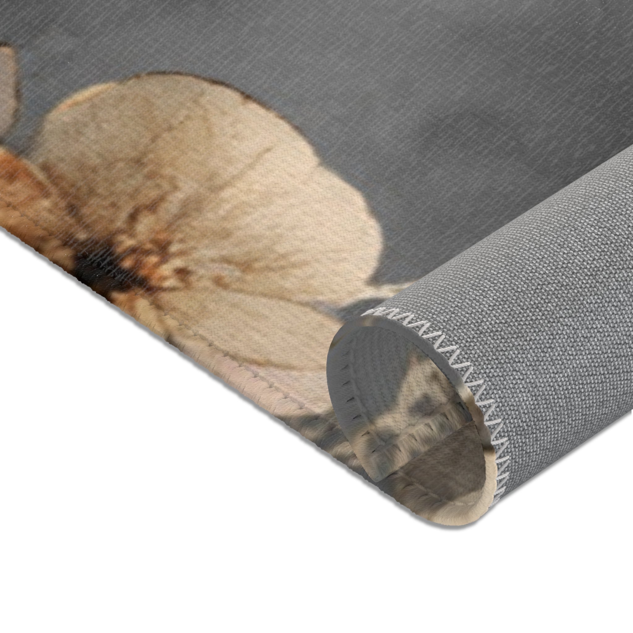 Abstract Area Rug | Floral Grey Beige Watercolor Artsy Rug