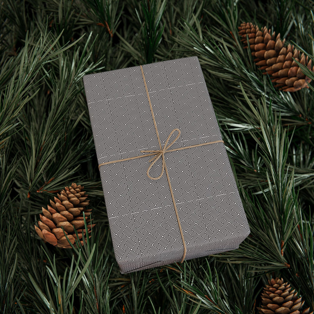 A gift box with a geometric patterned wrapping tied with a brown string, surrounded by pine needles and pine cones.
