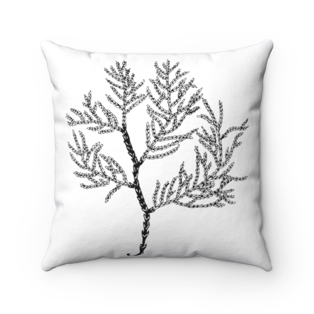 Boho Pillow Cover | Black Tree | One Line Art