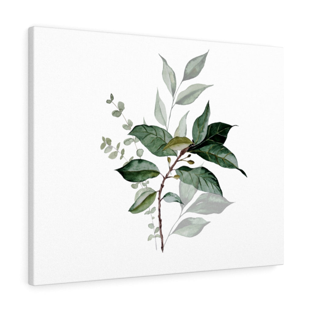 Eucalyptus Canvas Watercolor Wall Art