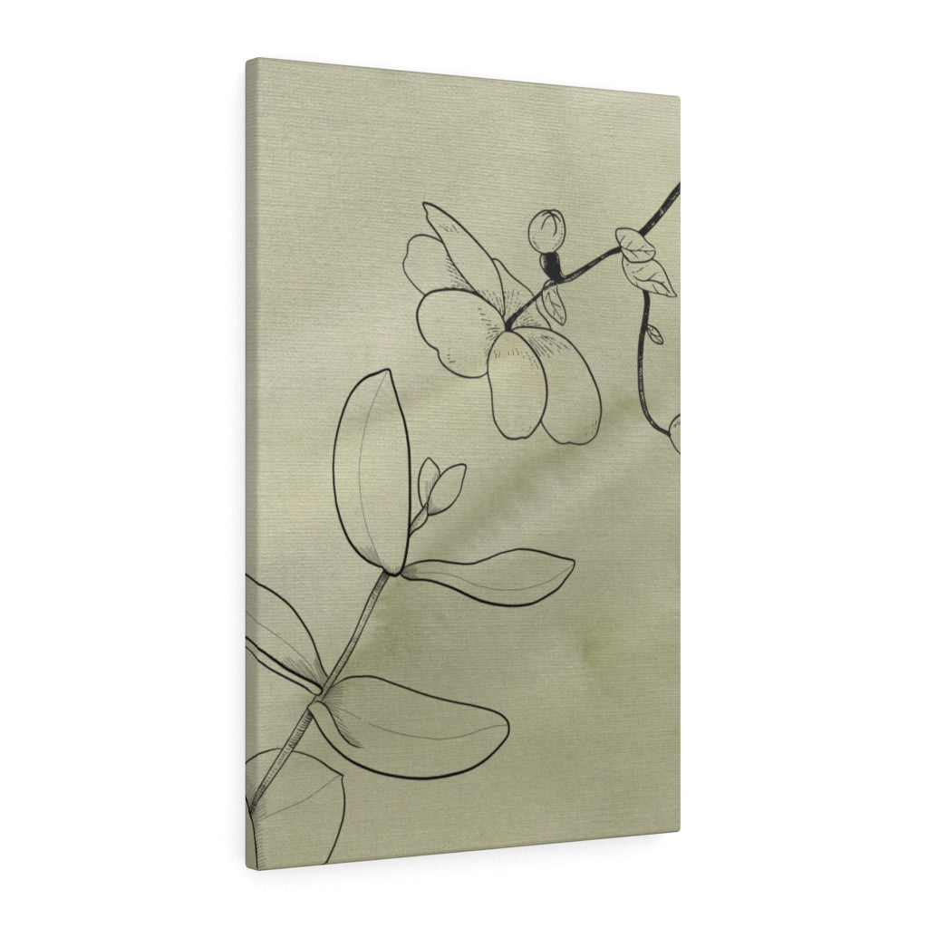 FLORAL CANVAS ART | Khaki Green Line Art Orchids