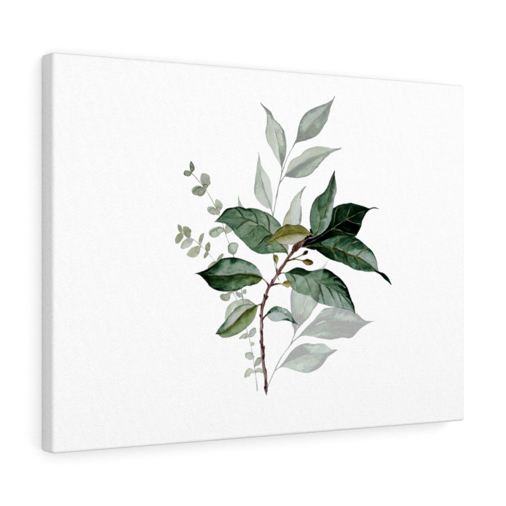 Eucalyptus Canvas Watercolor Wall Art