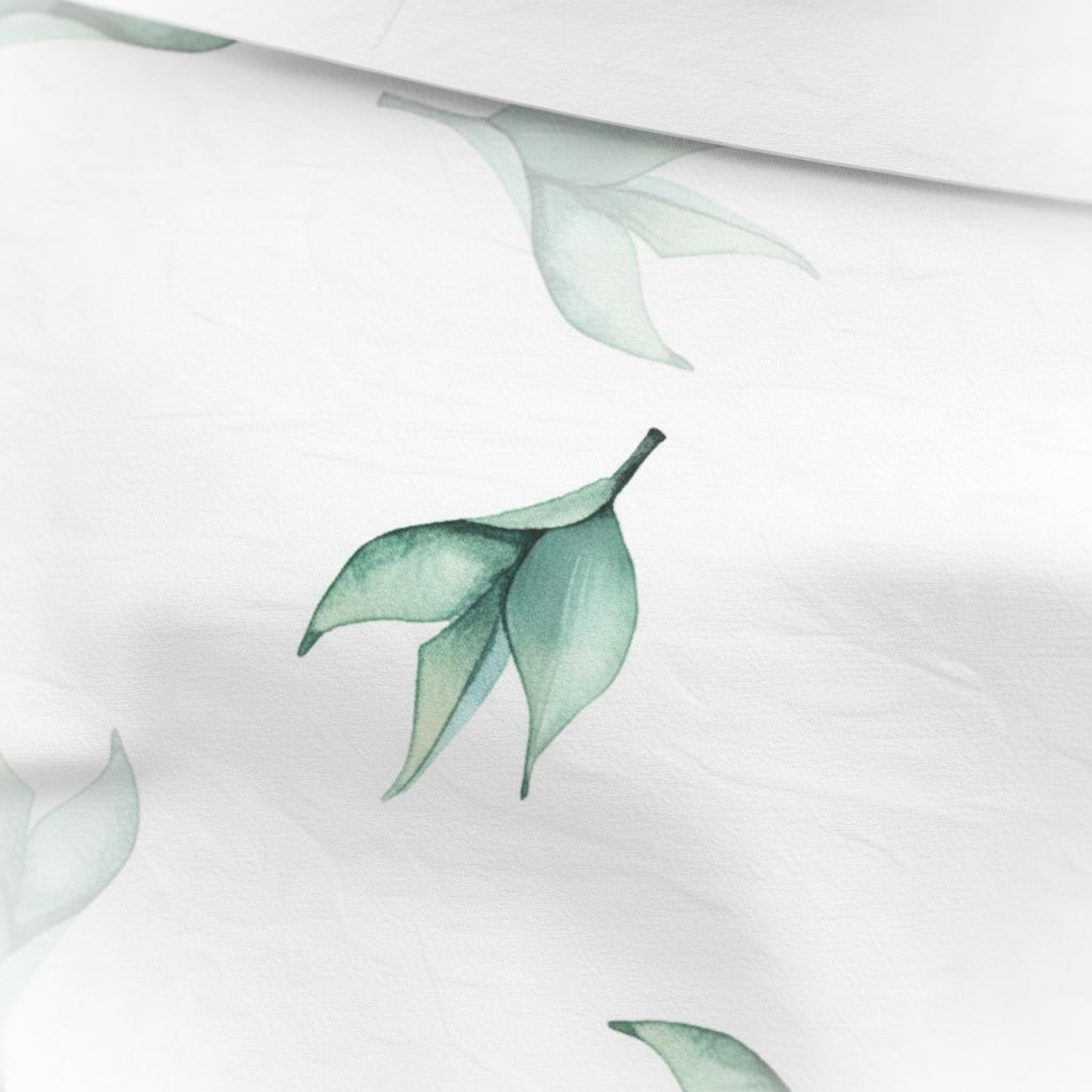 a close-up view of a green leaf with a slightly curled shape, set against a white background.