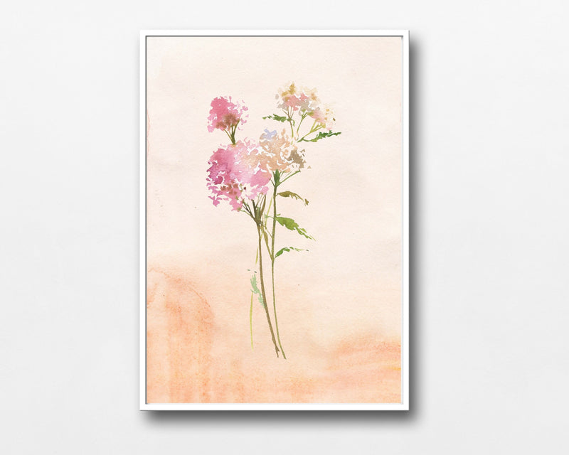 Wild Flowers Art Prints | Peach Pink Wildflower