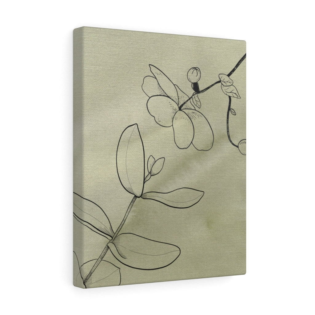 FLORAL CANVAS ART | Khaki Green Line Art Orchids