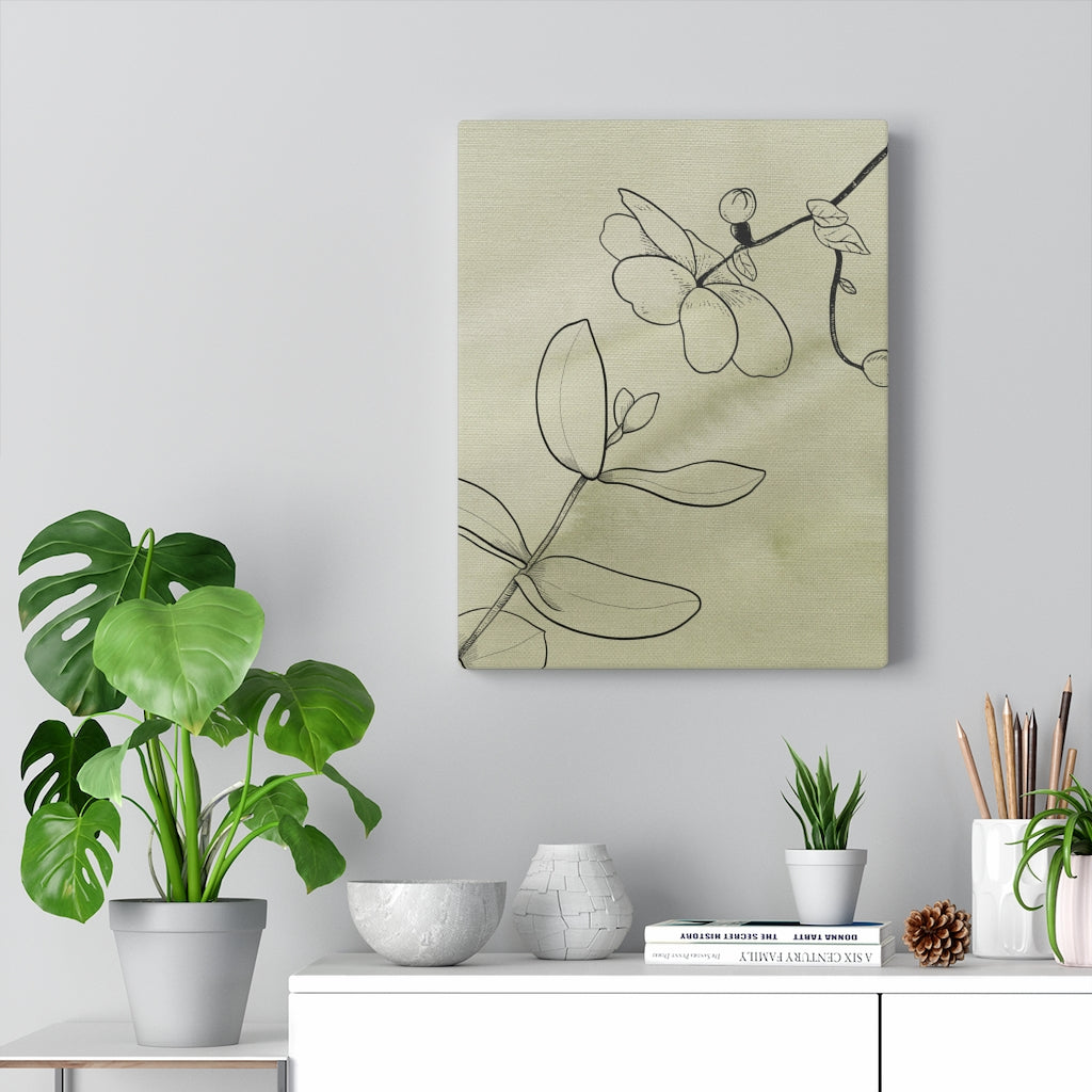 FLORAL CANVAS ART | Khaki Green Line Art Orchids