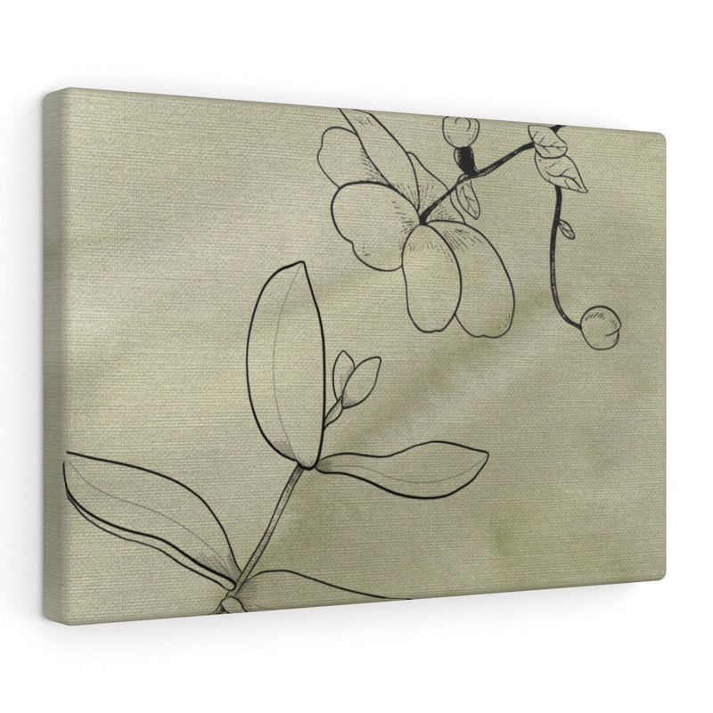 FLORAL CANVAS ART | Khaki Green Line Art Orchids