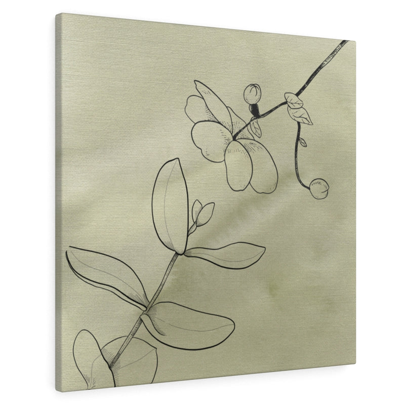 FLORAL CANVAS ART | Khaki Green Line Art Orchids